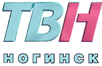 Логотип телеканала ТВН