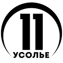 Логотип телеканала 11 канал. Усолье