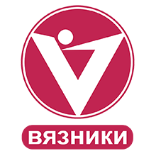Логотип телеканала Вариант Вязники